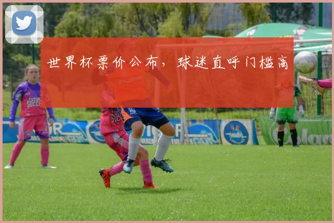 世界杯票价公布,球迷直呼门槛高