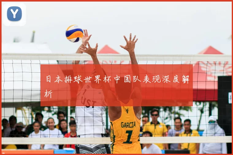 日本排球世界杯中国队表现深度解析