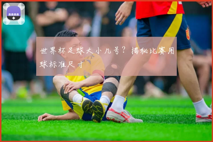 世界杯足球大小几号?揭秘比赛用球标准尺寸