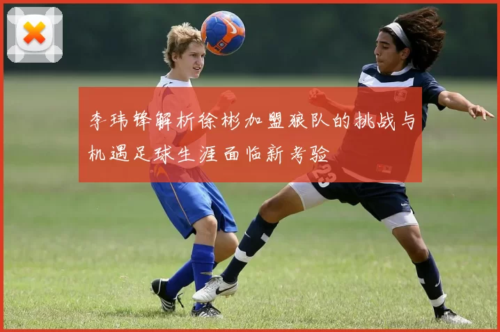 李玮锋解析徐彬加盟狼队的挑战与机遇足球生涯面临新考验