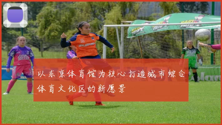 以东京体育馆为核心打造城市综合体育文化区的新愿景