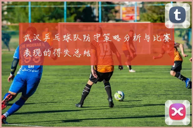 武汉乒乓球队防守策略分析与比赛表现的得失总结