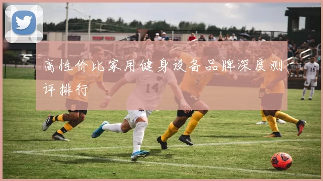高性价比家用健身设备品牌深度测评排行
