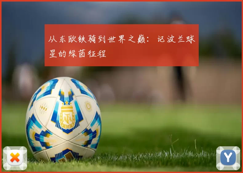 从东欧铁骑到世界之巅:记波兰球星的绿茵征程