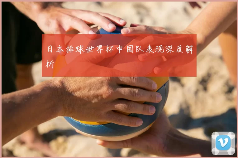 日本排球世界杯中国队表现深度解析