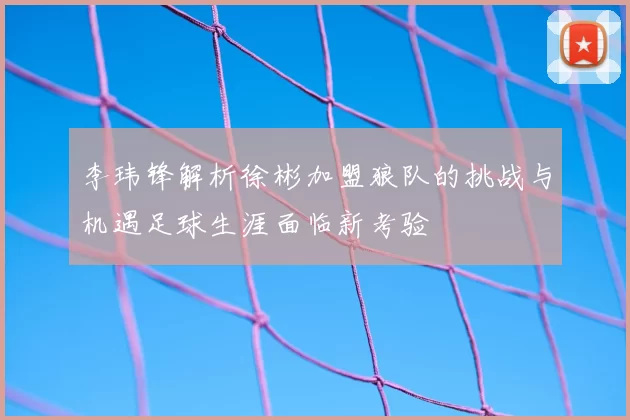 李玮锋解析徐彬加盟狼队的挑战与机遇足球生涯面临新考验