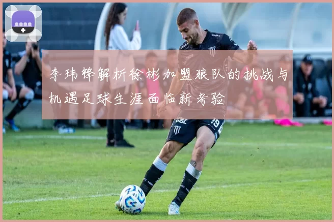 李玮锋解析徐彬加盟狼队的挑战与机遇足球生涯面临新考验