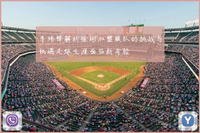 李玮锋解析徐彬加盟狼队的挑战与机遇足球生涯面临新考验