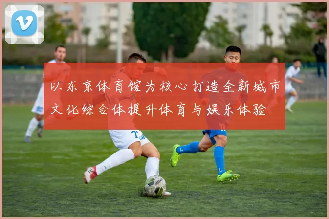 以东京体育馆为核心打造全新城市文化综合体提升体育与娱乐体验
