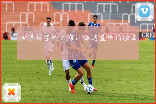世界杯票价公布，球迷直呼门槛高