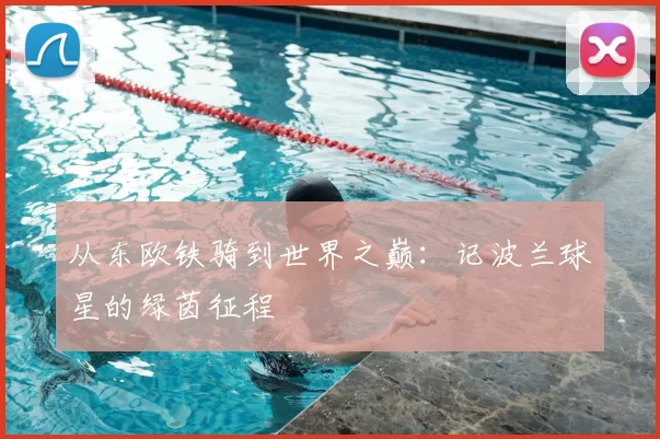 从东欧铁骑到世界之巅:记波兰球星的绿茵征程