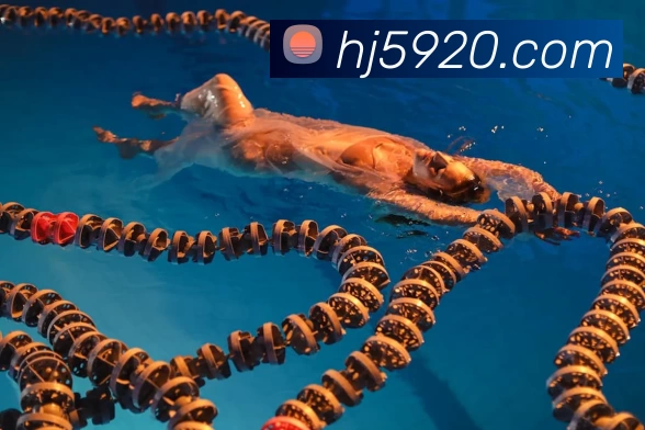 ag真人APP 高清赛事图